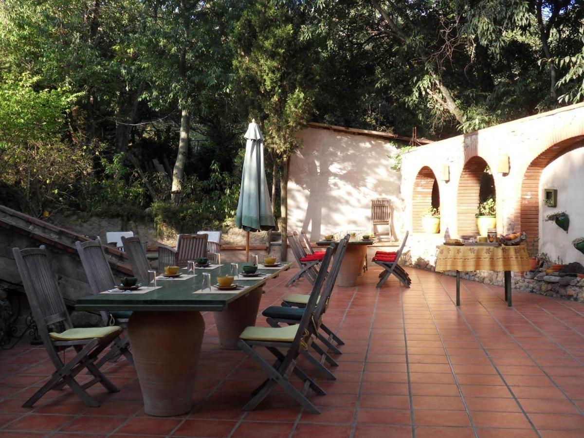 Mas Senyarich Villa Argelès-sur-Mer Kültér fotó
