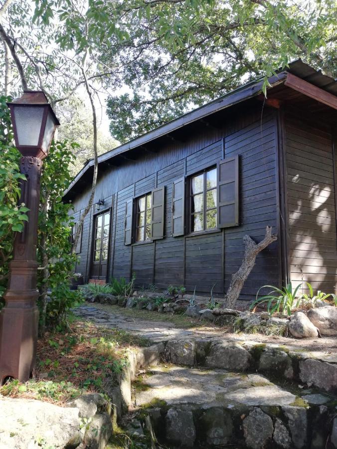 Mas Senyarich Villa Argelès-sur-Mer Kültér fotó