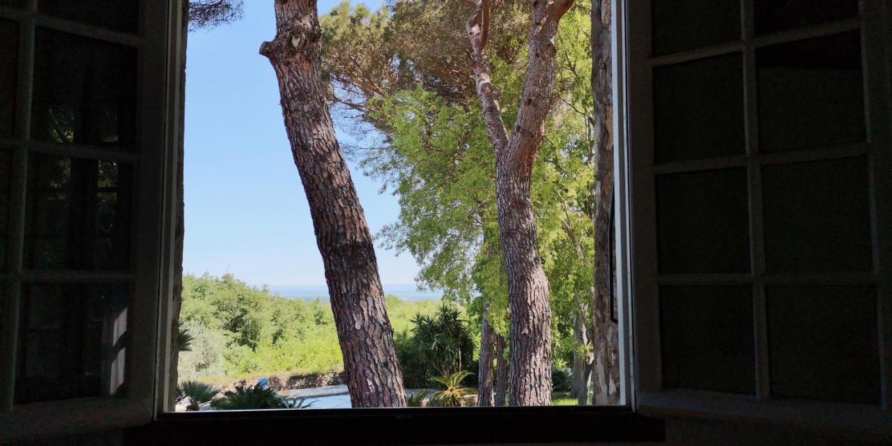 Mas Senyarich Villa Argelès-sur-Mer Kültér fotó