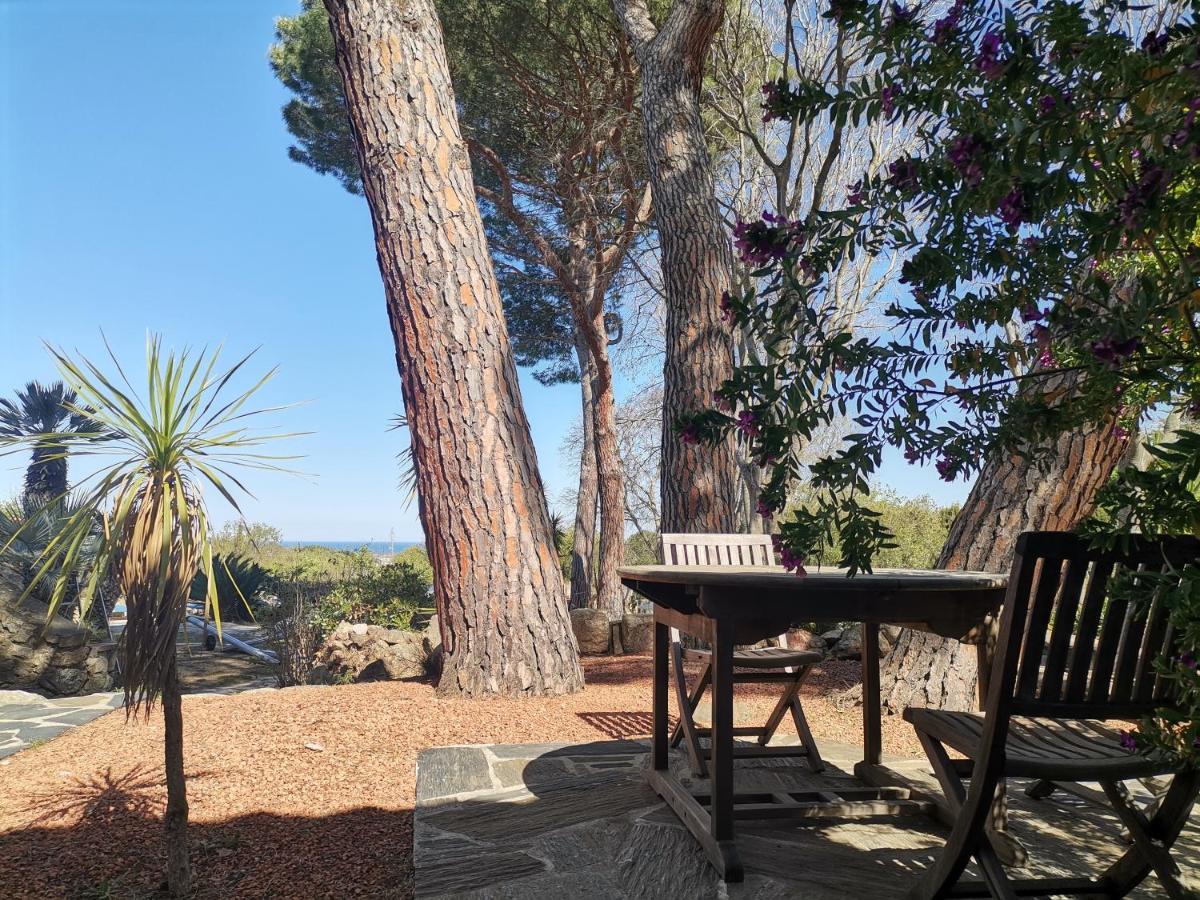 Mas Senyarich Villa Argelès-sur-Mer Kültér fotó