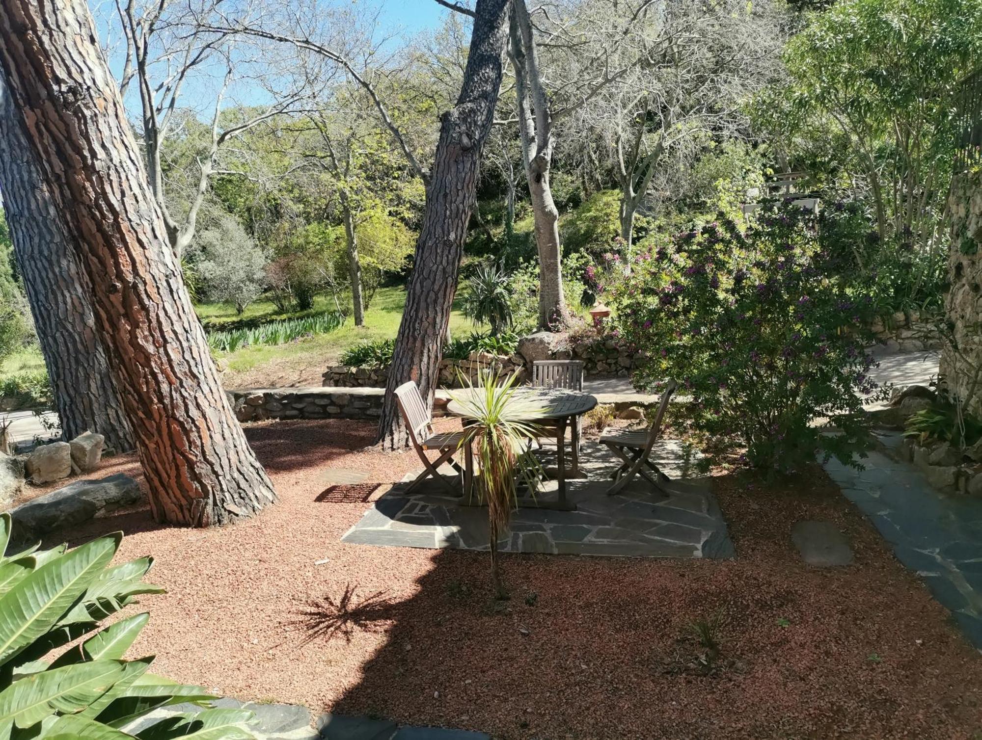 Mas Senyarich Villa Argelès-sur-Mer Kültér fotó