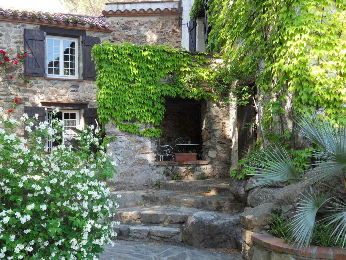 Mas Senyarich Villa Argelès-sur-Mer Kültér fotó